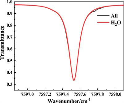 Measurements of Atmospheric Water Vapor by a 1.316 μm Optical Fiber Laser Heterodyne Radiometer